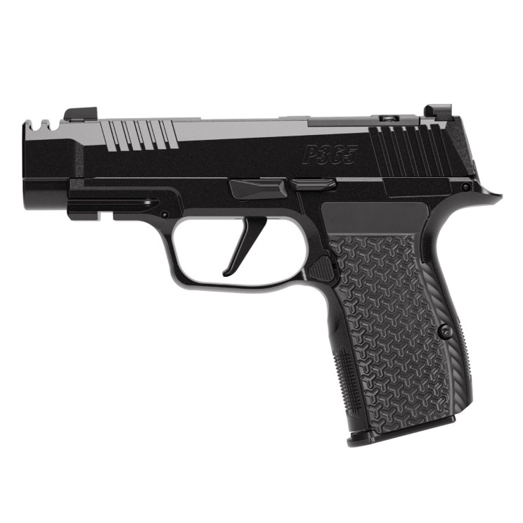 Sig Sauer P365 AXG Luxe .380 ACP